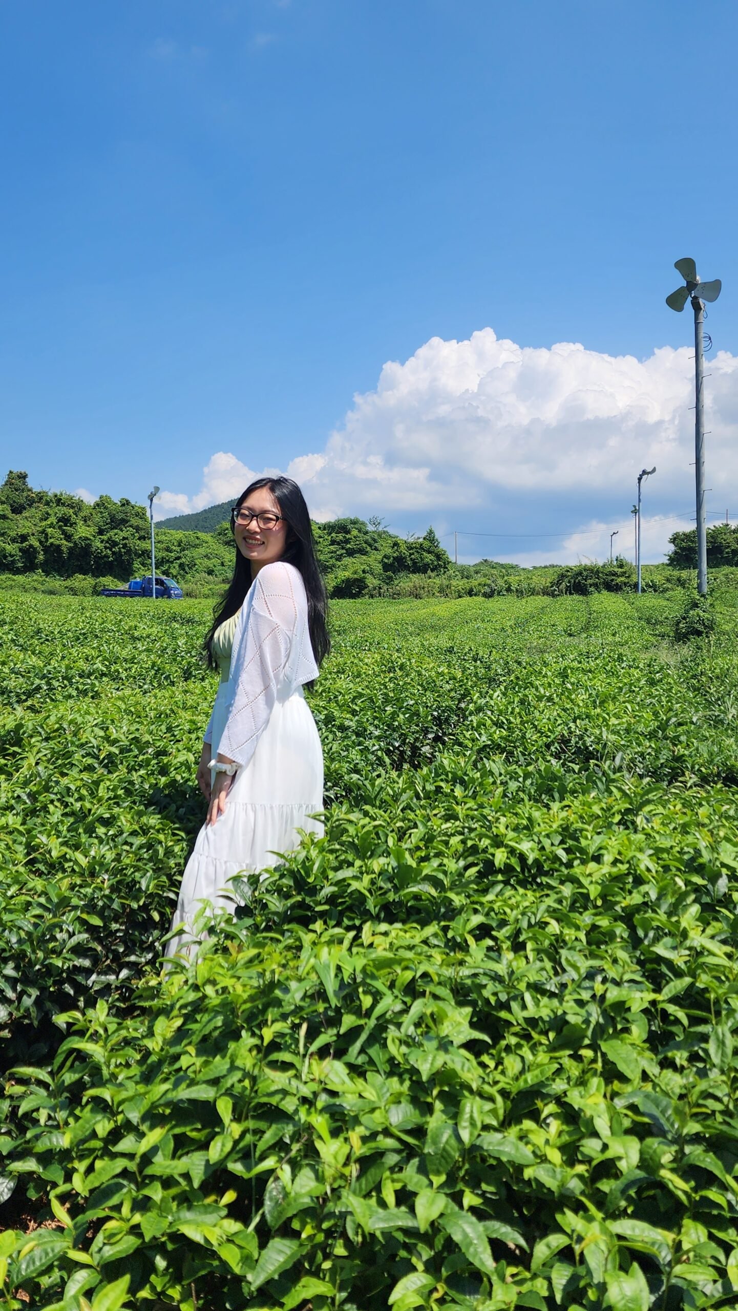 Things to do in Jeju, Osulloc Green Tea Field, girl smiling