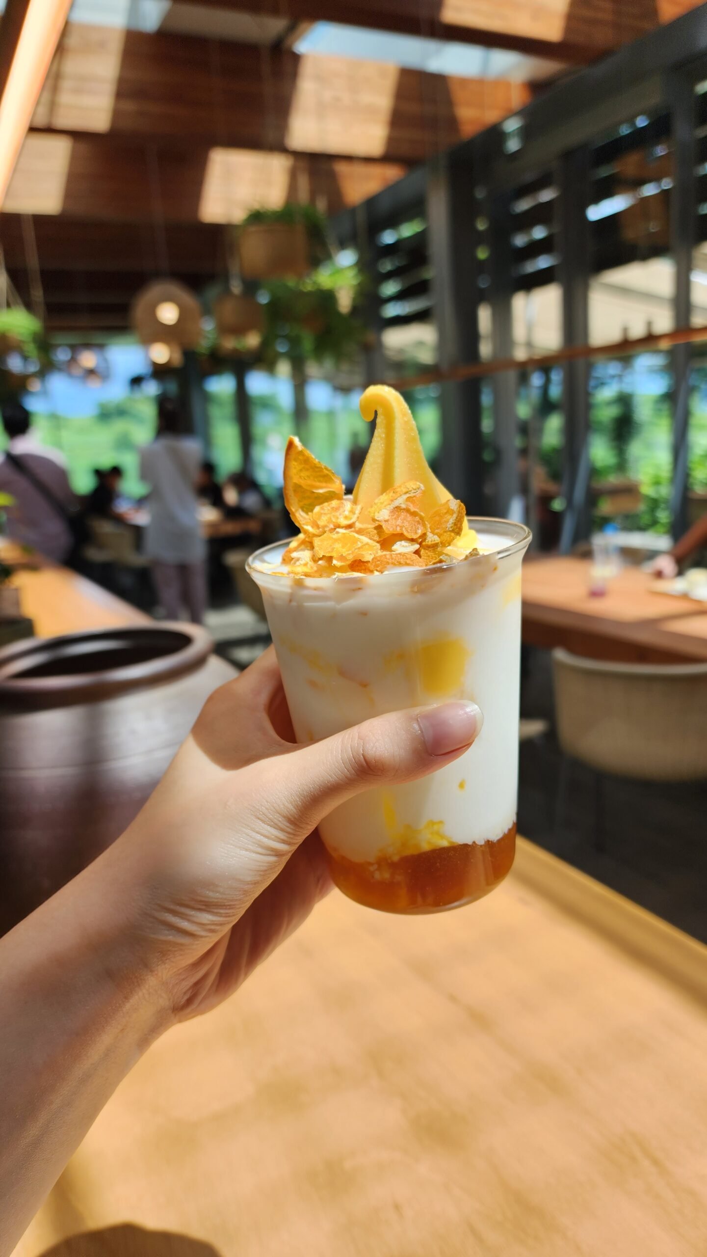 Things to do in Jeju, Osulloc Green Tea Field, Osulloc Green Tea Field cafe, icecream