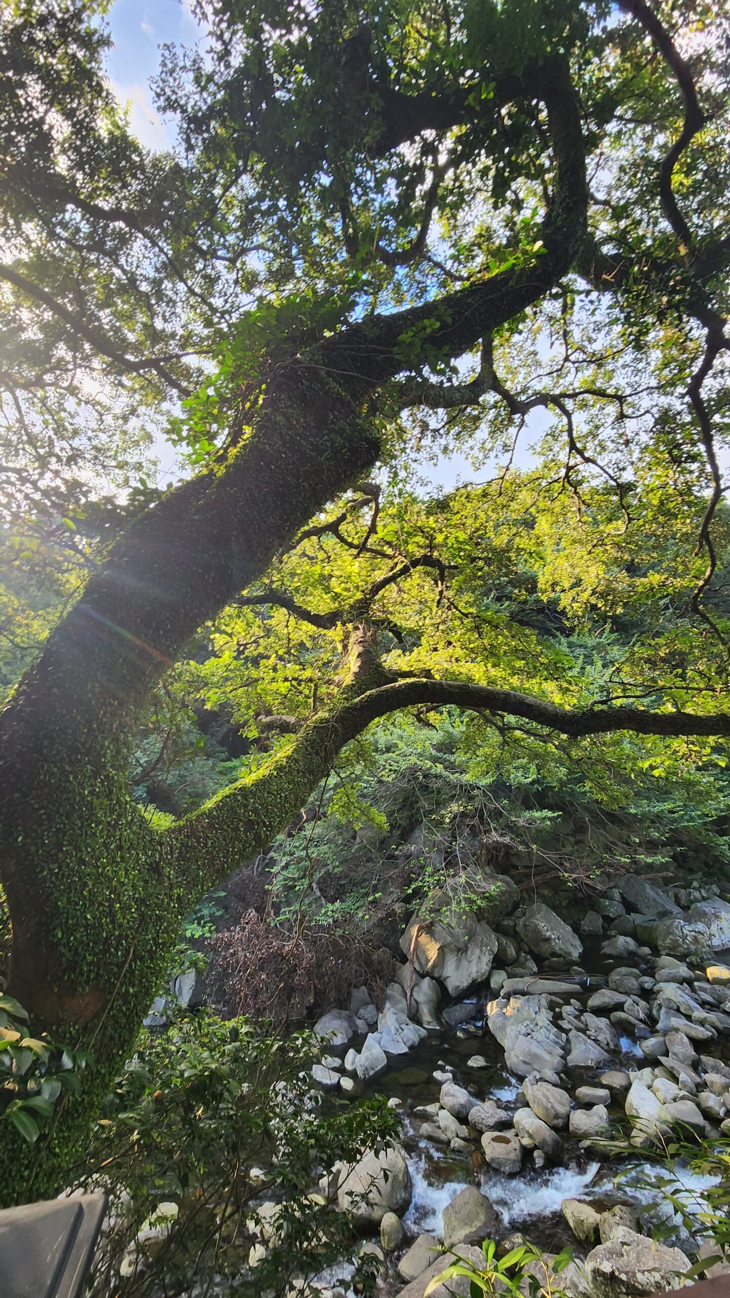 Things to do in Jeju, Cheonjeyeon Waterfall