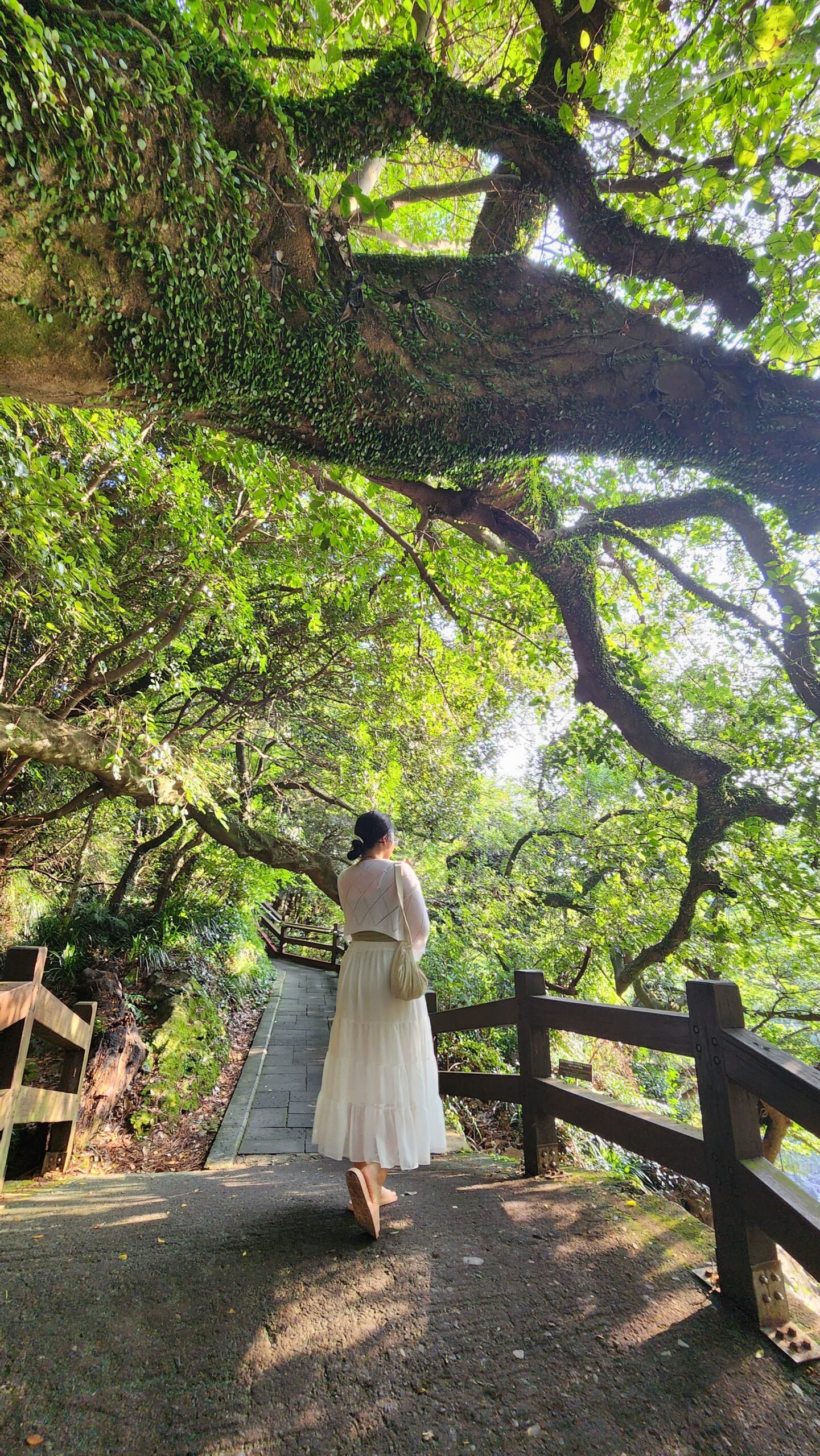 Things to do in Jeju, Cheonjeyeon Waterfall