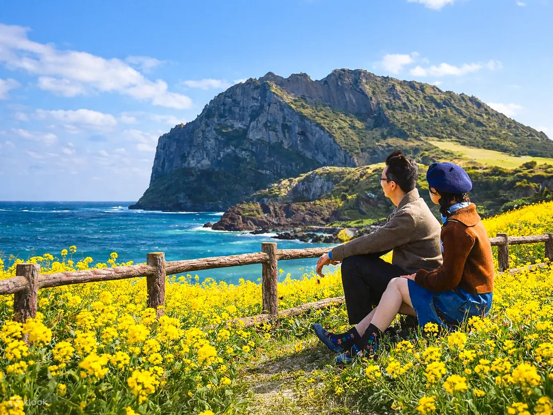 Jeju tours, jeju guided tours, jeju klook tours, jeju east tour, jeju west tour, jeju north tour