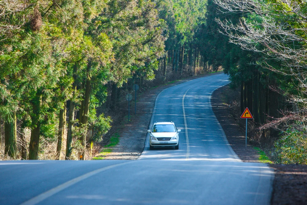 Jeju car, Jeju car rental, how to rent a car in Jeju, should i rent a car in Jeju, Jeju car rentals, driving in jeju, how to drive in jeju